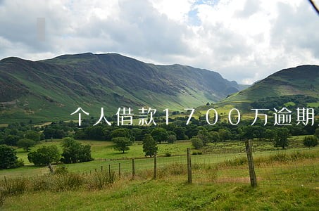 个人借款1700万逾期后果 个人借款1700万逾期后果