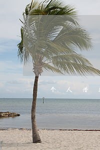 个人借款2万的逾期违约金 个人借款2万的逾期违约金