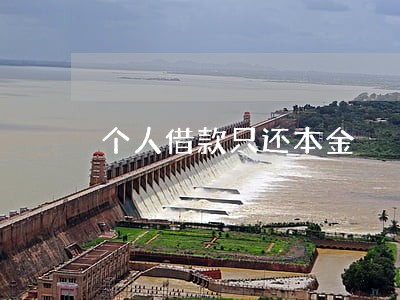 个人借款只还本金 个人借款只还本金