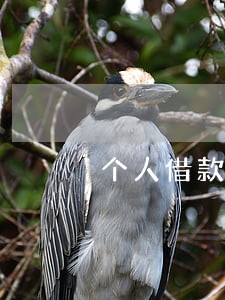 个人借款逾期2个月的后果