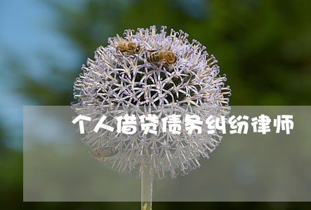 个人借贷债务纠纷律师 个人借贷债务纠纷律师