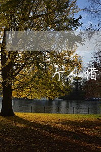 个人借贷只还本金不还利息