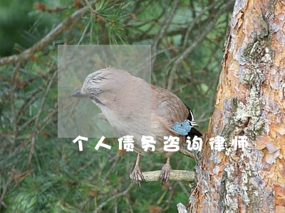 个人债务咨询律师 个人债务咨询律师