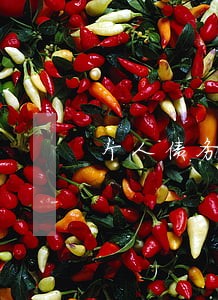 个人债务法律咨询律师免费不 个人债务法律咨询律师免费不
