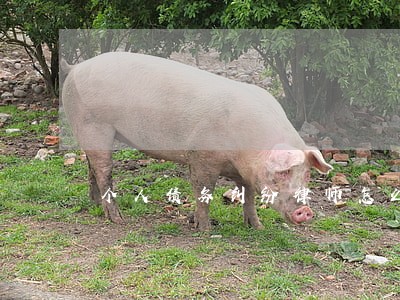 个人债务纠纷律师怎么收费 个人债务纠纷律师怎么收费