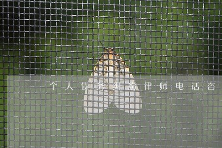 个人债务纠纷律师电话咨询 个人债务纠纷律师电话咨询