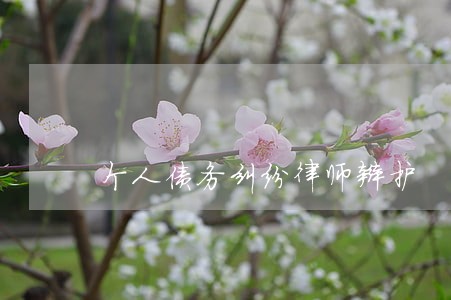 个人债务纠纷律师辩护 个人债务纠纷律师辩护