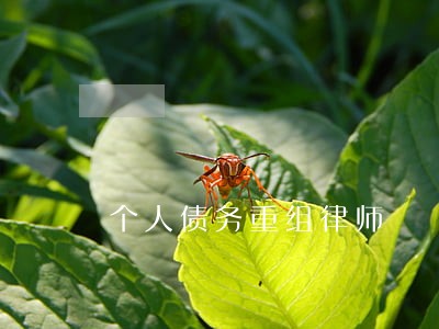 个人债务重组律师