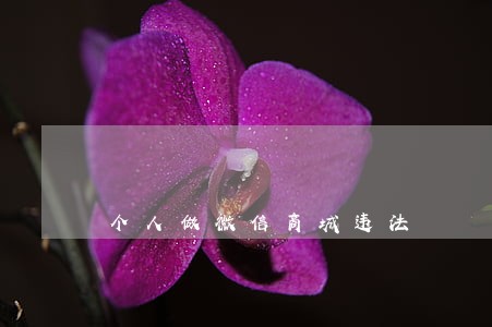 个人做微信商城违法 个人做微信商城违法