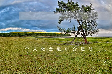 个人做金融中介违法 个人做金融中介违法