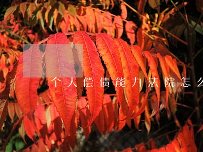 个人偿债能力法院怎么判断 个人偿债能力法院怎么判断