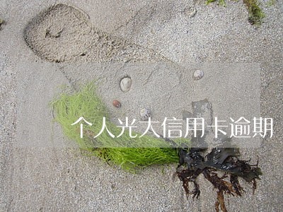 个人光大信用卡逾期 个人光大信用卡逾期