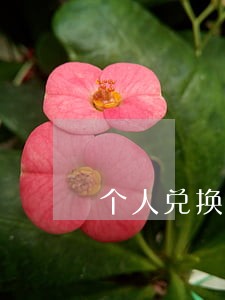 个人兑换货币违法吗