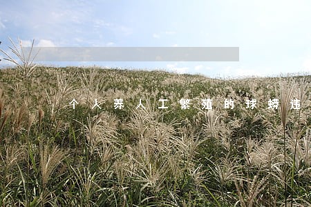 个人养人工繁殖的球蟒违法吗 个人养人工繁殖的球蟒违法吗