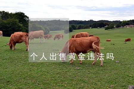 个人出售黄金违法吗 个人出售黄金违法吗