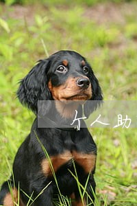 个人助学贷款贷款利息逾期