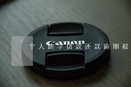 个人助学贷款还款逾期被
