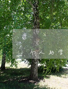 个人助学贷款逾期办房贷 个人助学贷款逾期办房贷