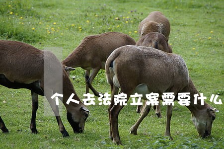个人去法院立案需要什么材料 个人去法院立案需要什么材料