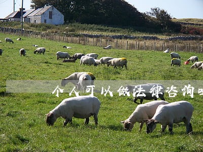 个人可以做法律咨询吗 个人可以做法律咨询吗