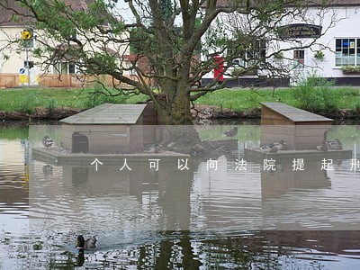 个人可以向法院提起刑事诉讼 个人可以向法院提起刑事诉讼