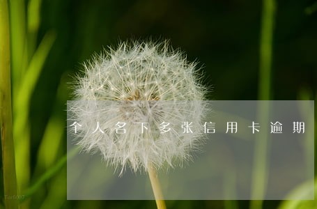 个人名下多张信用卡逾期 个人名下多张信用卡逾期