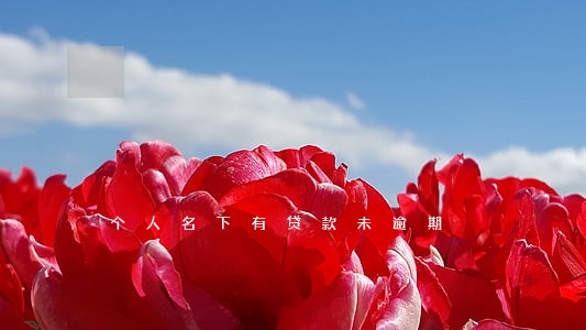 个人名下有贷款未逾期 个人名下有贷款未逾期