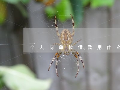 个人向单位借款用什么法规 个人向单位借款用什么法规