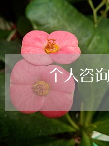 个人咨询服务费个税 个人咨询服务费个税