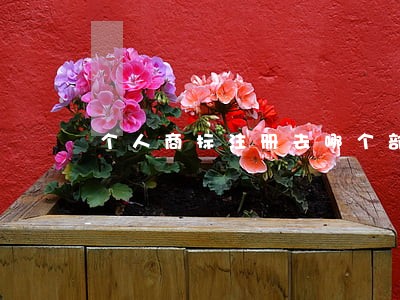 个人商标注册去哪个部门办理 个人商标注册去哪个部门办理