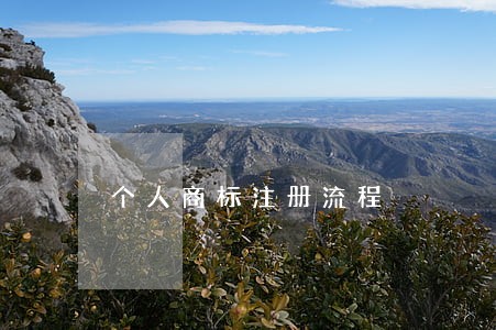 个人商标注册流程 个人商标注册流程