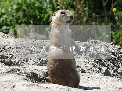 个人委托理财违法么 个人委托理财违法么