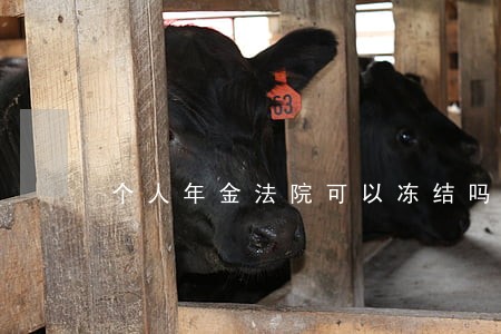 个人年金法院可以冻结吗