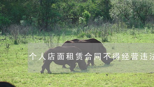 个人店面租赁合同不得经营违法 个人店面租赁合同不得经营违法