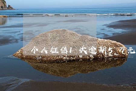 个人征信1次逾期5万元贷款 个人征信1次逾期5万元贷款