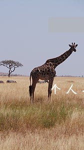 个人征信3个月逾期超过90天 个人征信3个月逾期超过90天