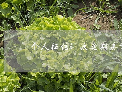 个人征信5次逾期房贷 个人征信5次逾期房贷