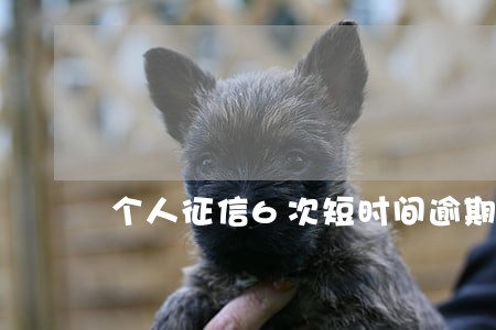 个人征信6次短时间逾期 个人征信6次短时间逾期