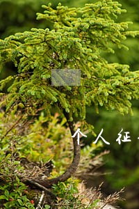个人征信上显示10次逾期 个人征信上显示10次逾期