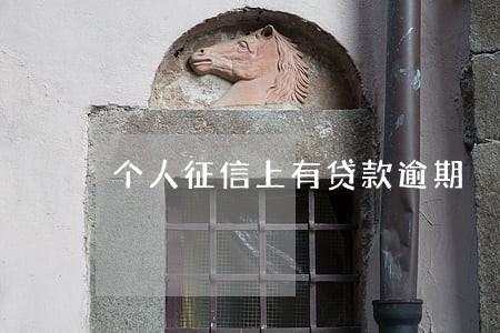 个人征信上有贷款逾期 个人征信上有贷款逾期