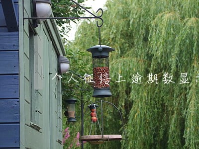 个人征信上逾期数显示2 个人征信上逾期数显示2