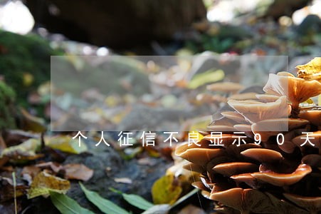 个人征信不良显示90天以上逾期 个人征信不良显示90天以上逾期