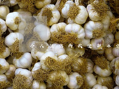 个人征信两次逾期办信用卡 个人征信两次逾期办信用卡