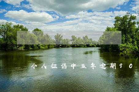 个人征信中五年逾期90天 个人征信中五年逾期90天