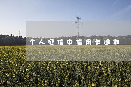 个人征信中信用卡逾期 个人征信中信用卡逾期