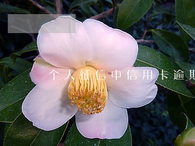 个人征信中信用卡逾期能取消掉嘛 个人征信中信用卡逾期能取消掉嘛