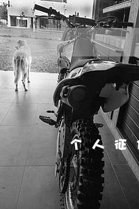 个人征信中有4个逾期记录 个人征信中有4个逾期记录
