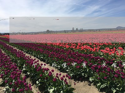 个人征信中有一次信用卡逾期 个人征信中有一次信用卡逾期