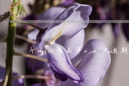 个人征信五年22次逾期 个人征信五年22次逾期