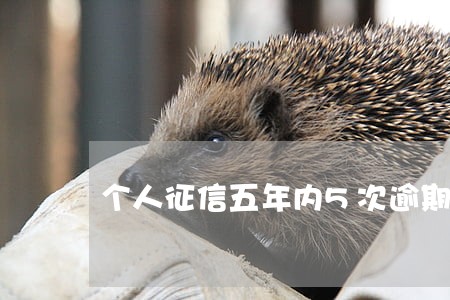 个人征信五年内5次逾期 个人征信五年内5次逾期